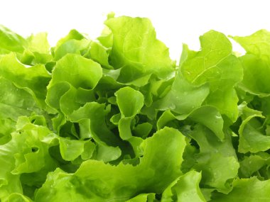 yeşil salata
