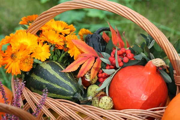 Pumpkins, flowers — Stock Photo, Image