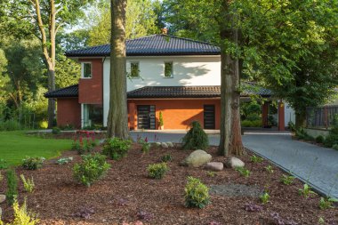 Evin içinde ağaçlar