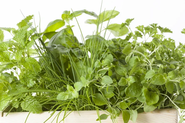 Herbs in basket — Stock Photo, Image