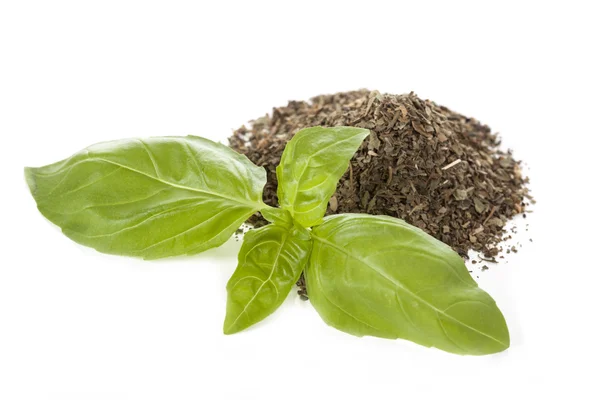 Basil leaves — Stock Photo, Image