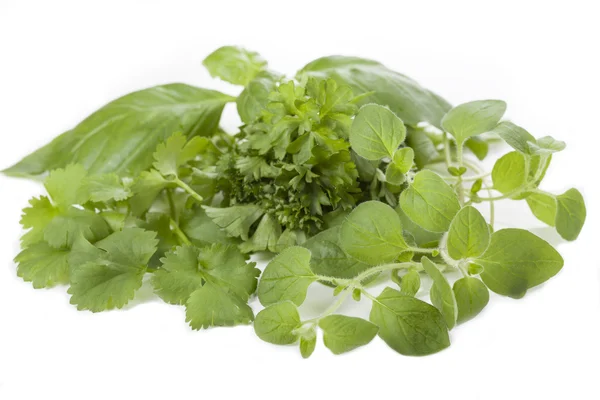 Herbs leaves — Stock Photo, Image