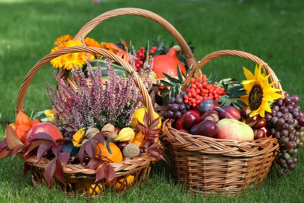 Herbstkorbflechter — Stockfoto