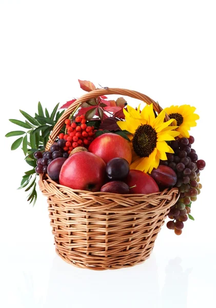 Fruits and flowers, autumn — Stock Photo, Image