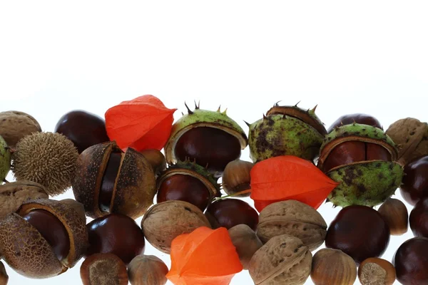 Nut and chestnuts background — Stock Photo, Image