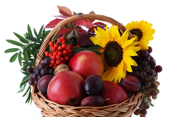 Korb mit Früchten und Sonnenblumen — Stockfoto