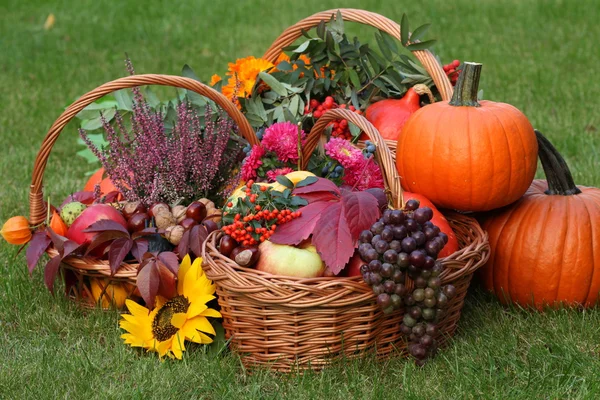 Kleurrijke herfst — Stockfoto