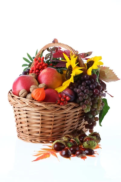 Autumn basket — Stock Photo, Image