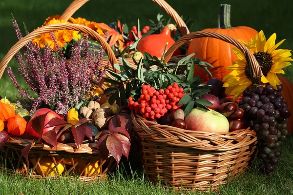 Autumn goodies — Stock Photo, Image