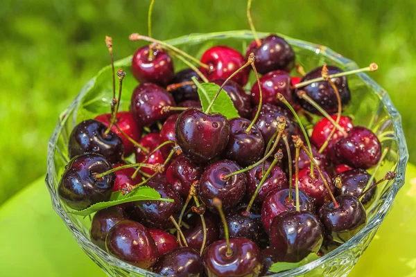 Summer fruits — Stock Photo, Image