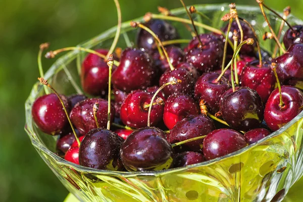 Cherries in bowl — Stock Photo, Image