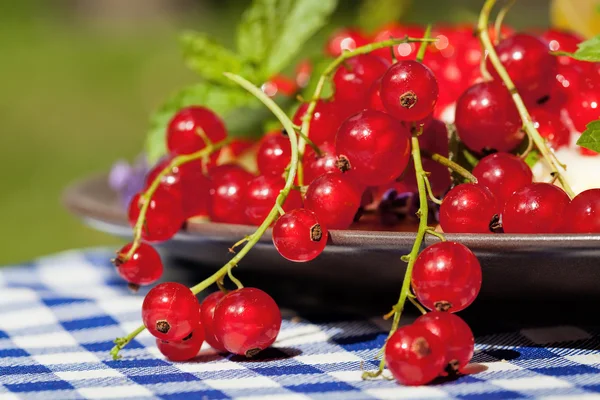 Red currants — Stock Photo, Image