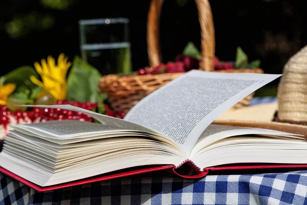 Libro sobre mesa — Foto de Stock