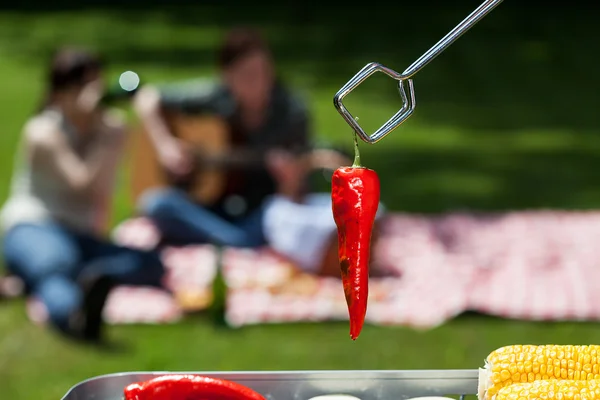 Chili peper — Stockfoto