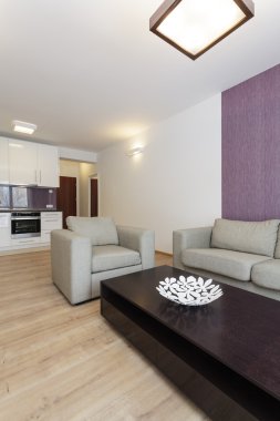 Cosy düz - oturma odası
