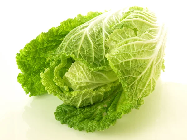 Chinese cabbage — Stock Photo, Image