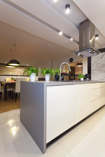 Stedelijke appartement - moderne keuken, verticaal — Stockfoto