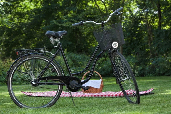 Jazda na rowerze i piknik — Zdjęcie stockowe
