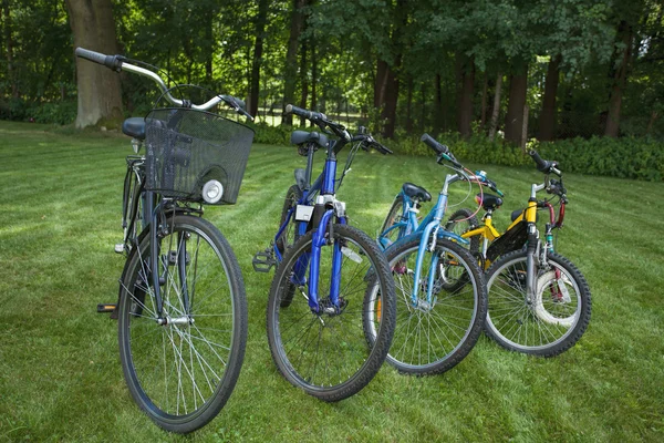 Cuatro bicicletas — Foto de Stock