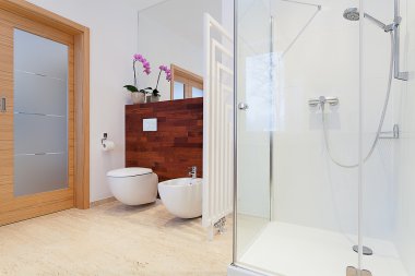 Modern duş portre
