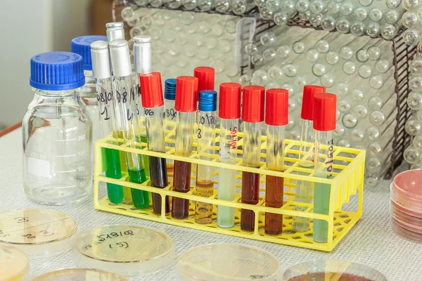 test tüpleri içinde kimyasal madde