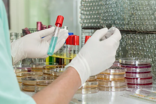 Proeven in het laboratorium — Stockfoto