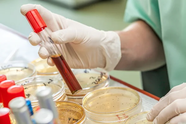 Chemiker bei der Arbeit — Stockfoto