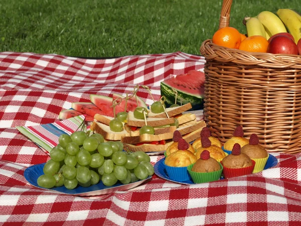 Fiesta de jardín — Foto de Stock