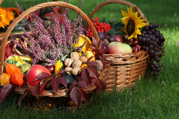 Herfst in tuin — Stockfoto