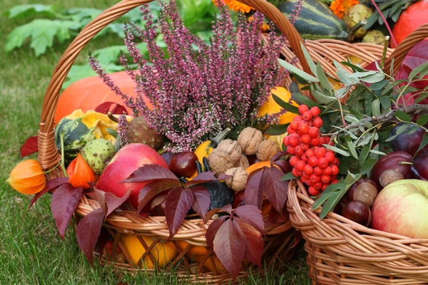 Autumn decorations — Stock Photo, Image