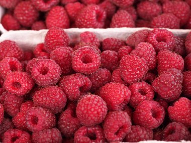 Ahududu - orman meyveleri