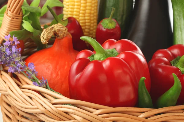 Verduras coloridas en la cesta —  Fotos de Stock