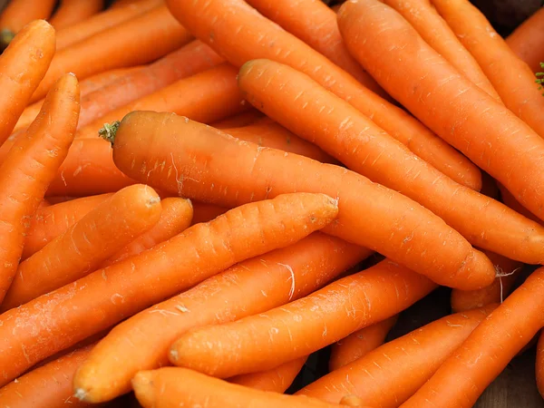 Морковная куча — стоковое фото