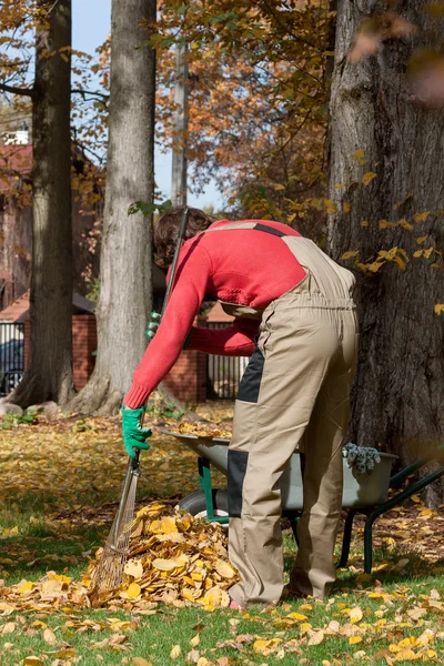 Jardinier pendant son travail . — Photo