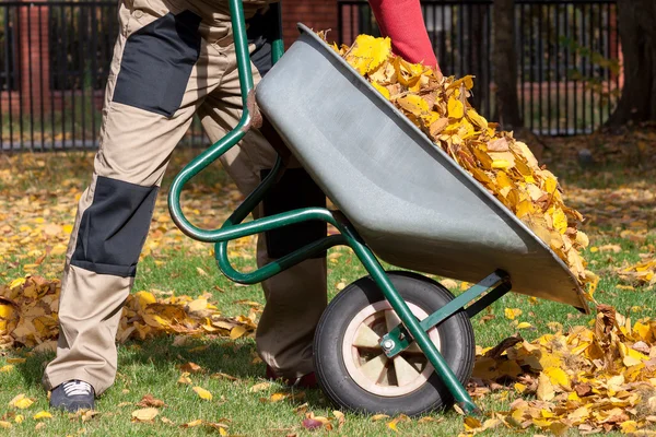 Limpieza de otoño en el jardín — Foto de Stock