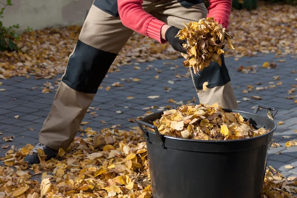 Man cleanning de oprit — Stockfoto