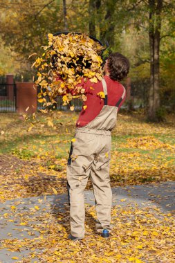 kova dökülen yaprakları