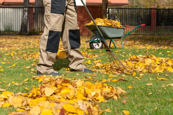 Gardennig in autunno — Foto Stock