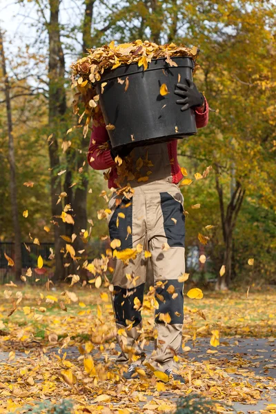 Tuinman met een emmer — Stockfoto