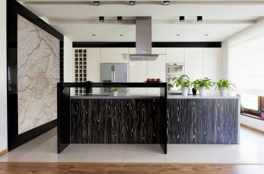 kentsel daire - Mutfak mobilyaları