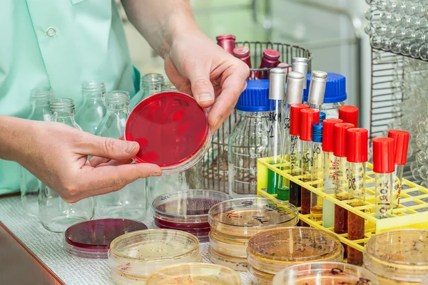 In laboratory — Stock Photo, Image