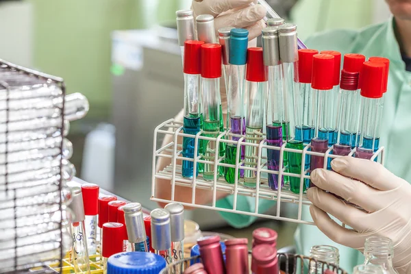 Test tubes on the stand — Stock Photo, Image