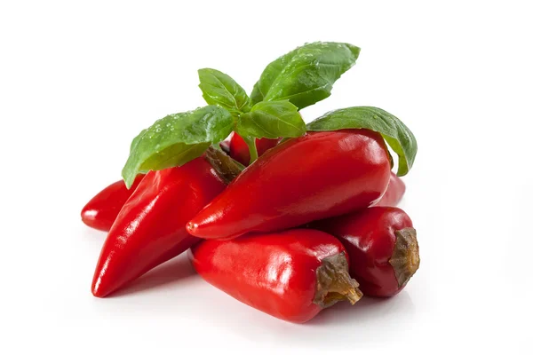 Pimientos rojos picantes — Foto de Stock