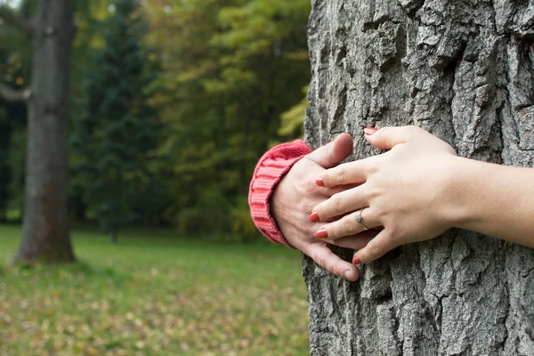 Hände um Baum — Stockfoto