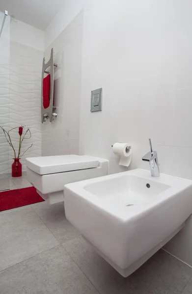 Hogar nublado - inodoro, bidet — Foto de Stock