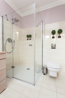 Vintage mansion - banyo iç