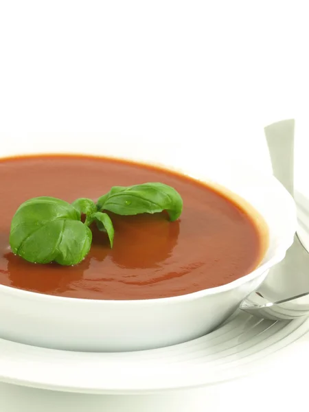Sopa de tomate saborosa para começar, isolada — Fotografia de Stock