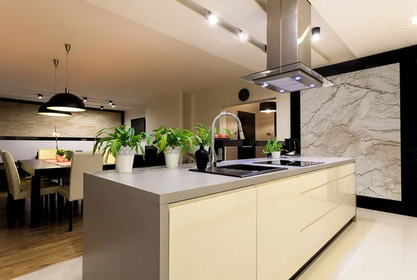 kentsel daire - mutfak