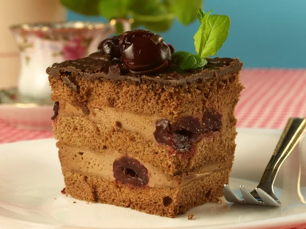 Dekicious chocolate cake — Stock Photo, Image