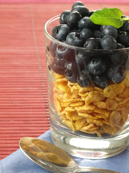 Breakfast cereal with blueberries — Stock Photo, Image